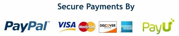 secured payments Paypal